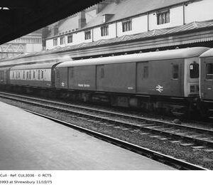 CUL3036