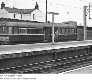 CUL3039