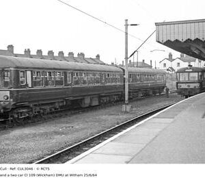 CUL3046