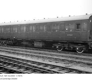 CUL3050