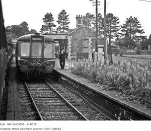 CUL3055