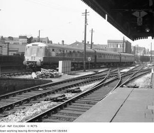 CUL3064
