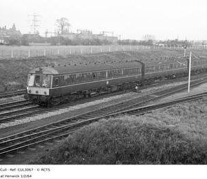 CUL3067