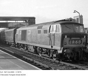 CUL3069