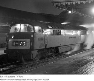 CUL3071