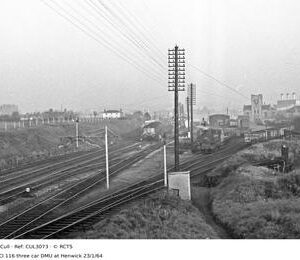 CUL3073