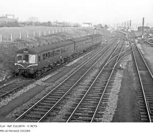 CUL3074