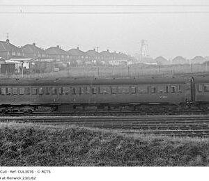 CUL3076
