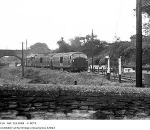 CUL3089
