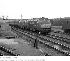 CUL3092