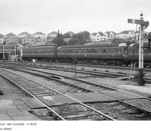 CUL3095