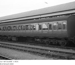 CUL3096
