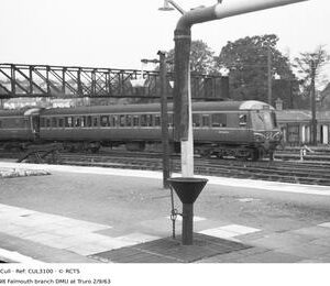CUL3100
