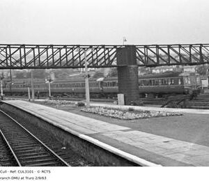 CUL3101