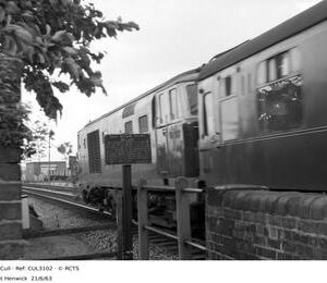CUL3102