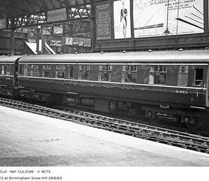 CUL3106
