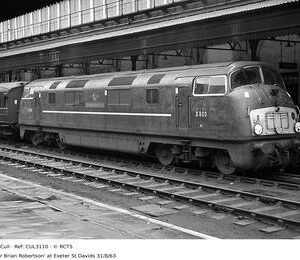 CUL3110