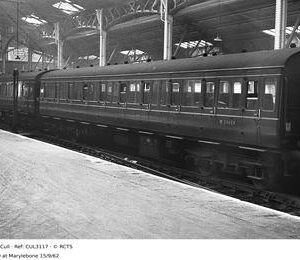 CUL3117