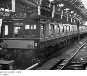 CUL3119