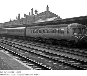 CUL3121