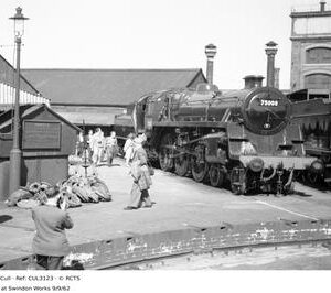CUL3123