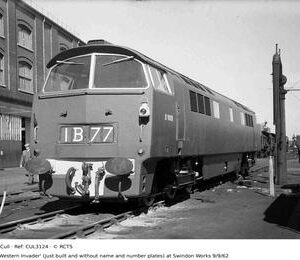CUL3124