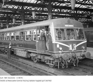 CUL3131