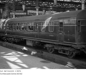 CUL3133