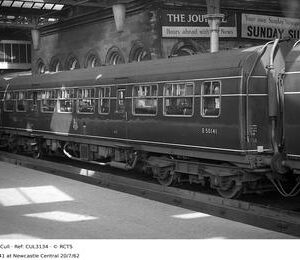 CUL3134