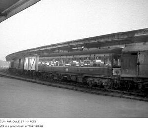 CUL3137