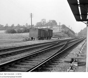 CUL3145