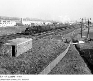 CUL3148