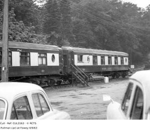 CUL3163