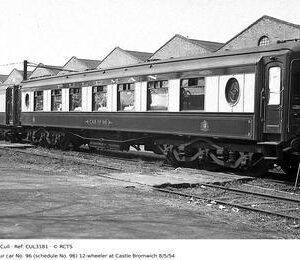 CUL3181