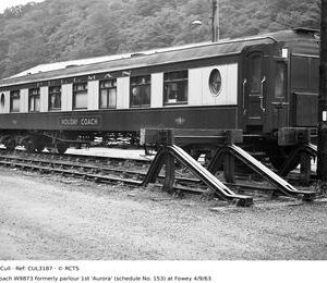 CUL3187