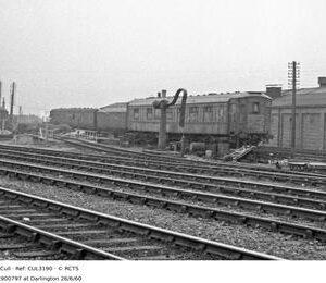 CUL3190