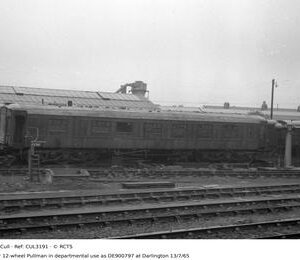 CUL3191