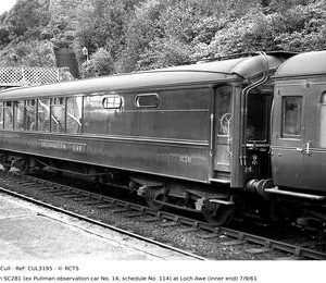 CUL3195