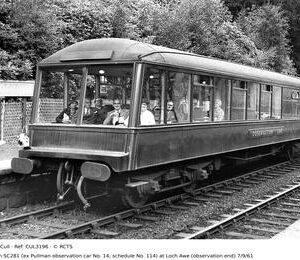 CUL3196