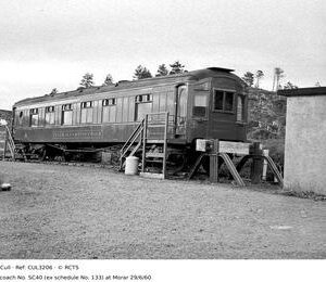 CUL3206