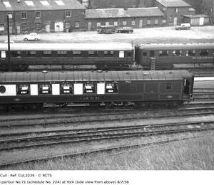 CUL3239