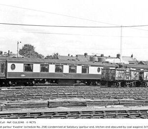 CUL3248