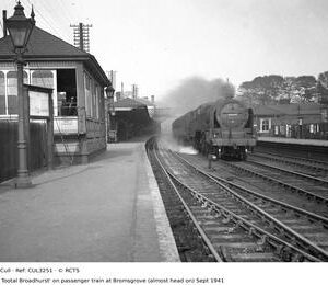 CUL3251