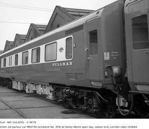 CUL3255