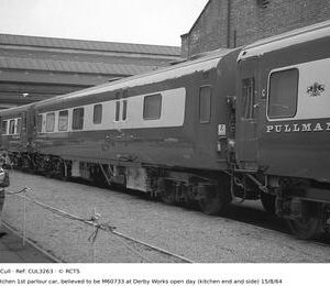 CUL3263