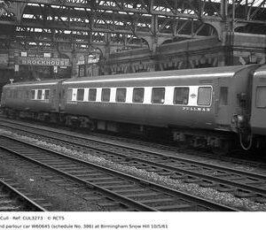 CUL3273