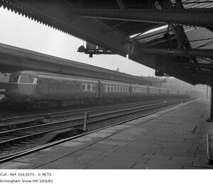 CUL3275
