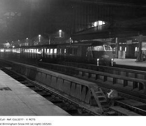 CUL3277