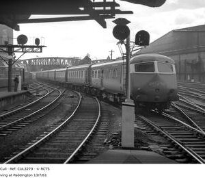 CUL3279