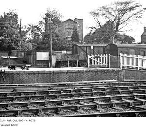 CUL3290